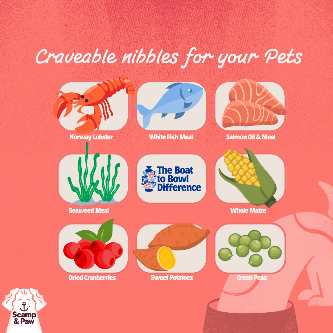 Lobster Nibbles for Dog - Free Shipping!