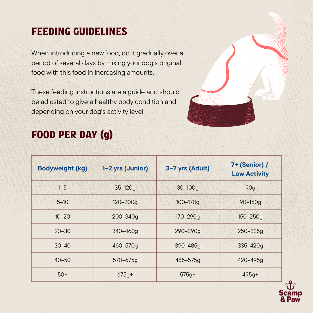 Everyday Lobster Kibble for Dogs