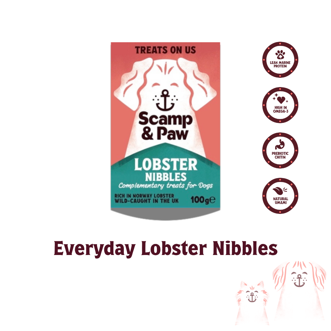 Everyday Lobster Nibbles (Pack of 10)