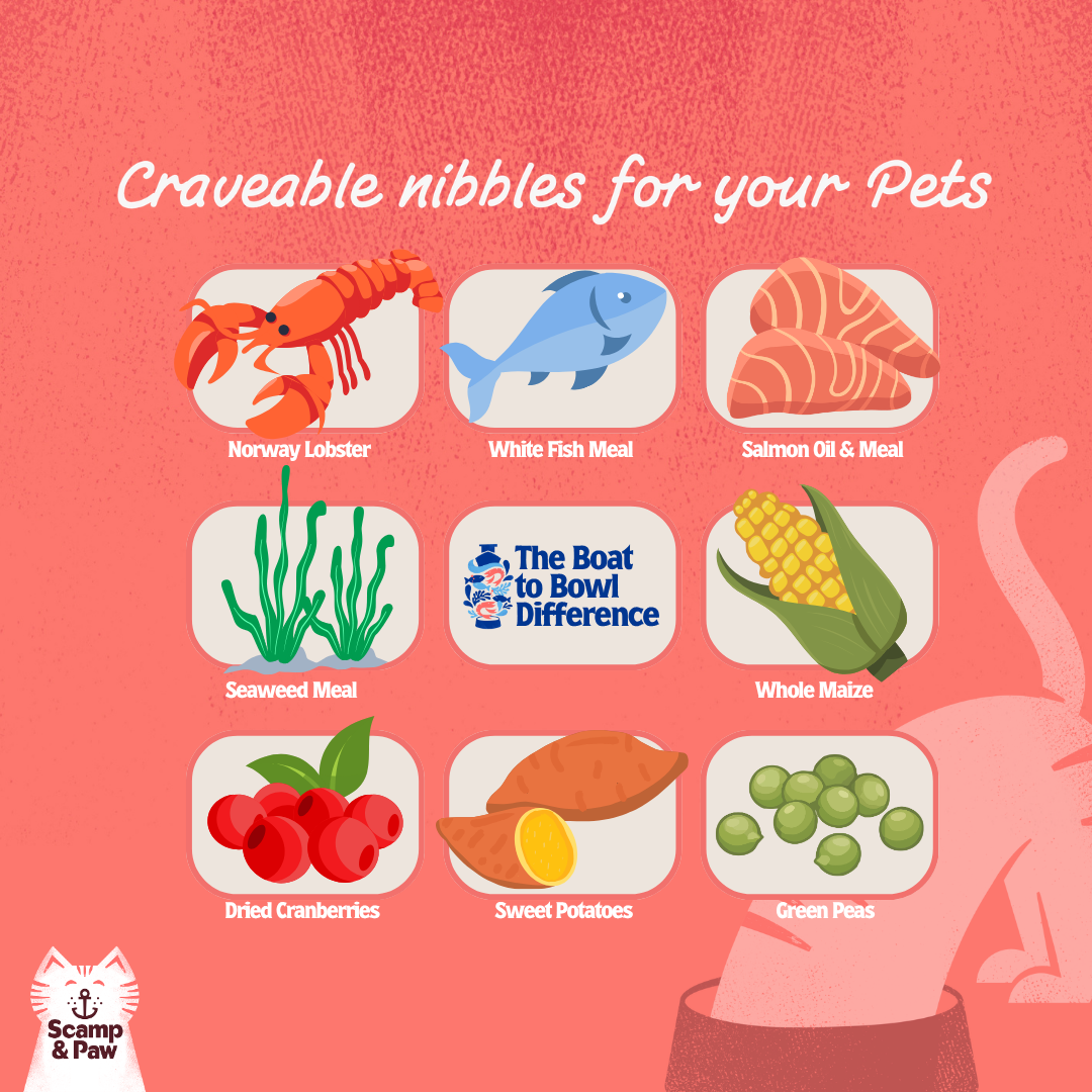 Lobster Nibbles for Cat - Free Shipping!