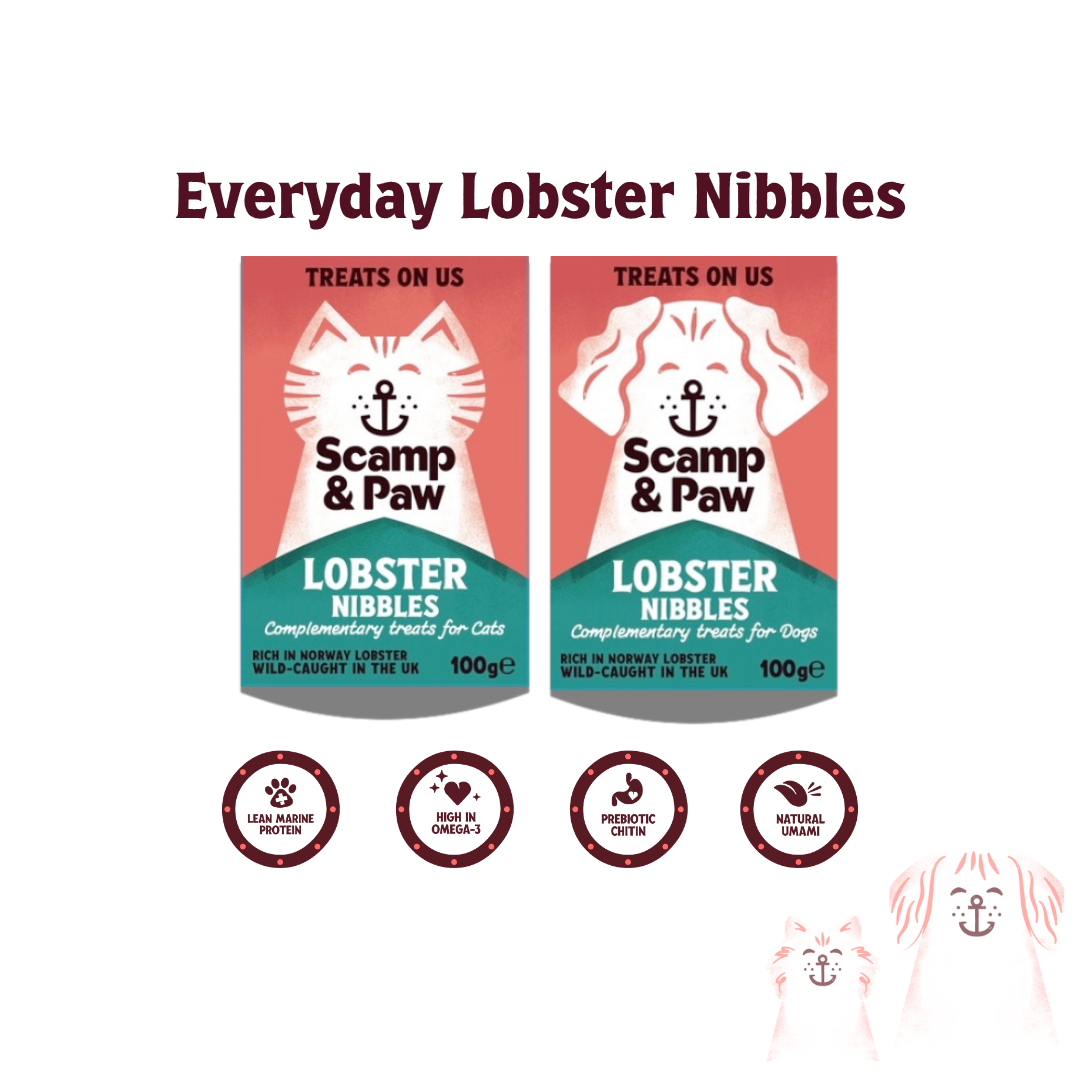 Everyday Lobster Nibbles
