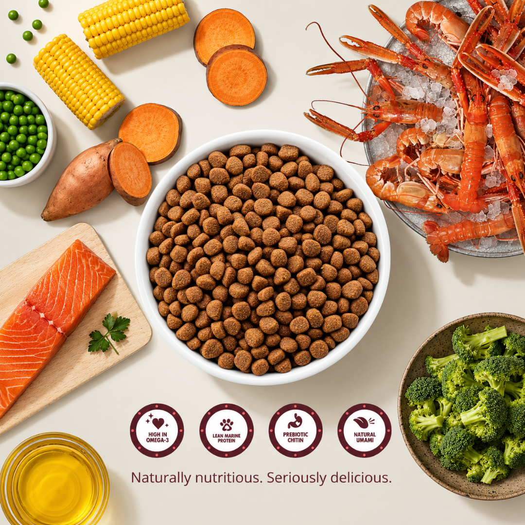 Discovery Bundle - Everyday Lobster Kibble for Cats & Dogs