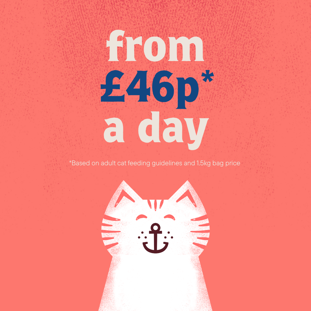 Everyday Lobster Kibble for Cats
