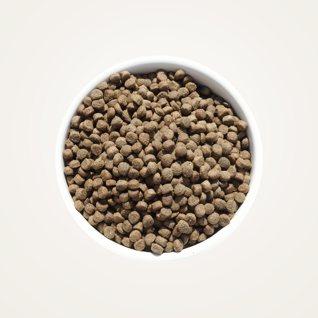 Everyday Lobster Kibble for Cats