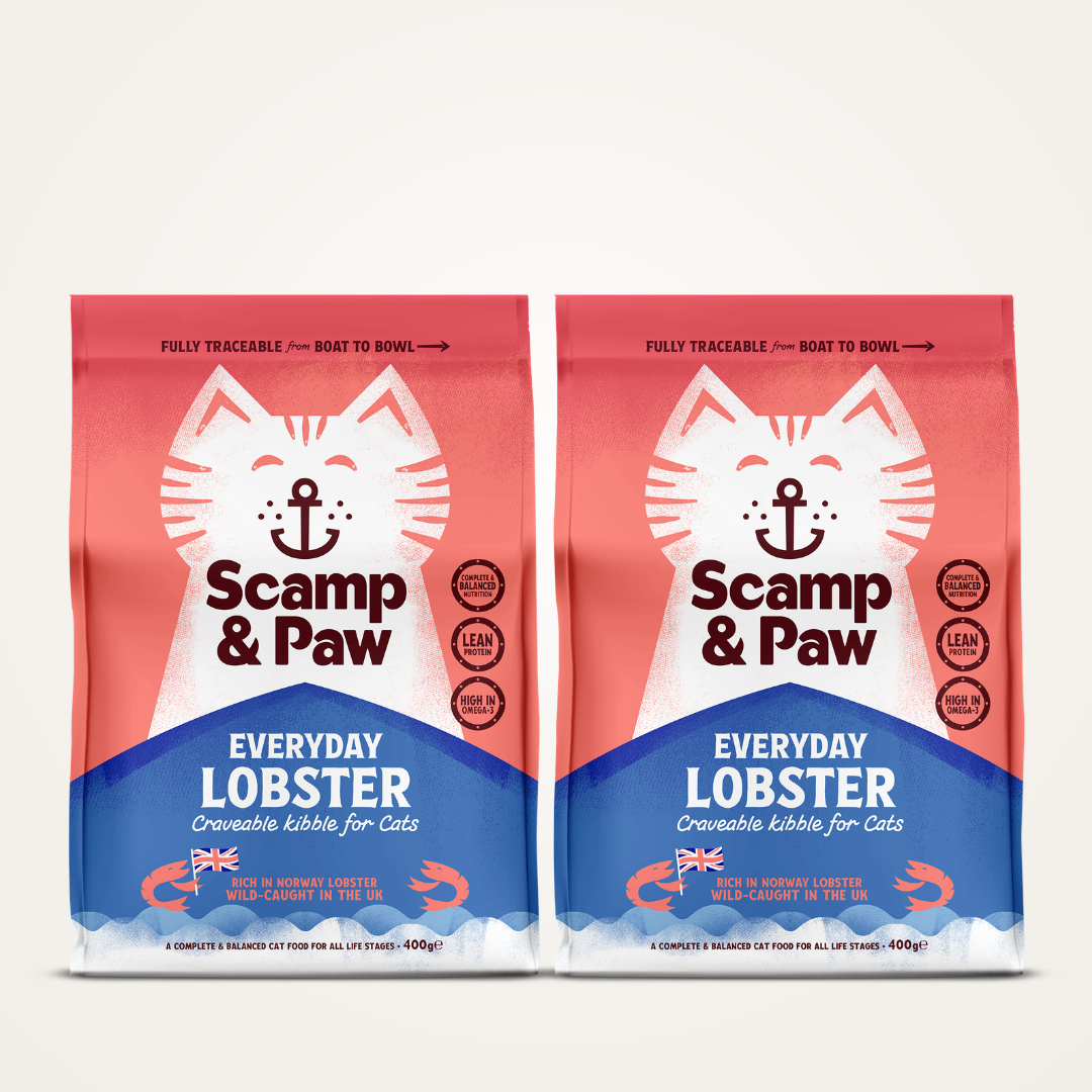 Discovery Bundle - Everyday Lobster Kibble for Cats