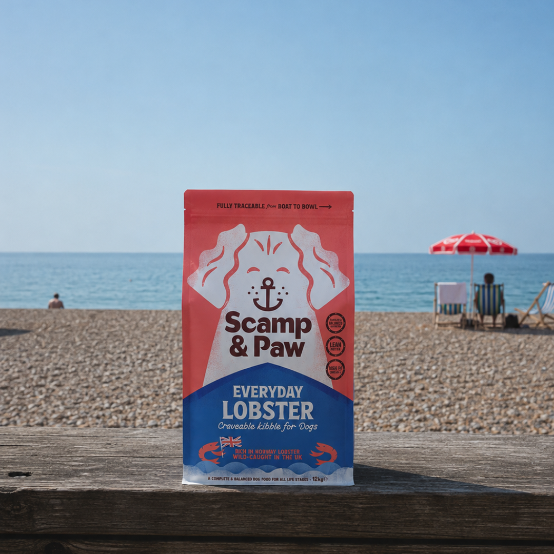 Everyday Lobster Kibble for Dogs