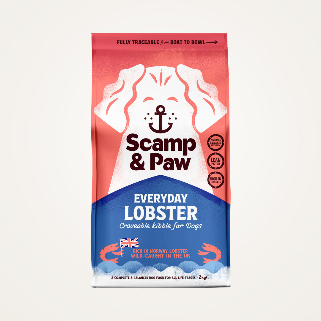 Everyday Lobster Kibble for Dogs