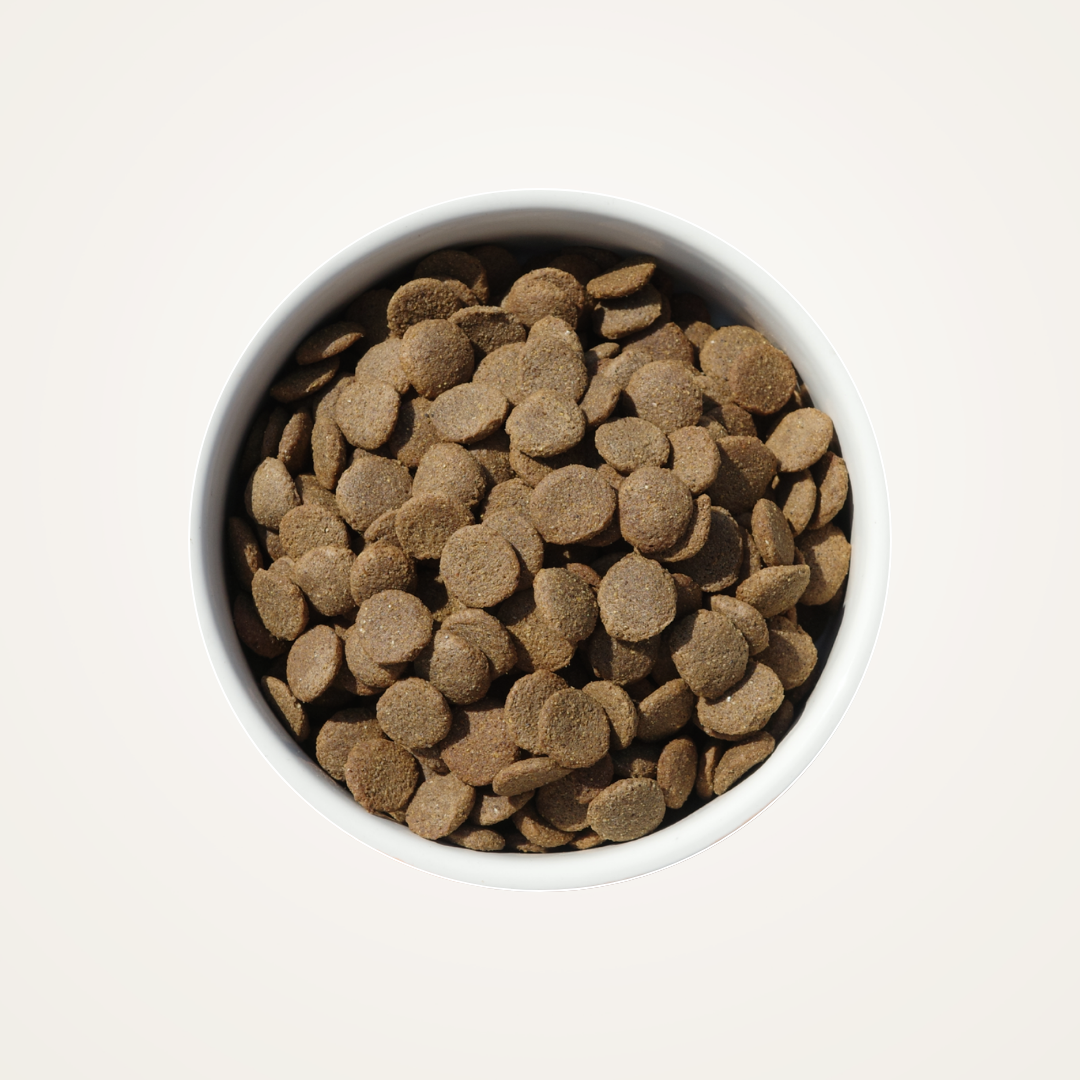 Everyday Lobster Kibble for Dogs