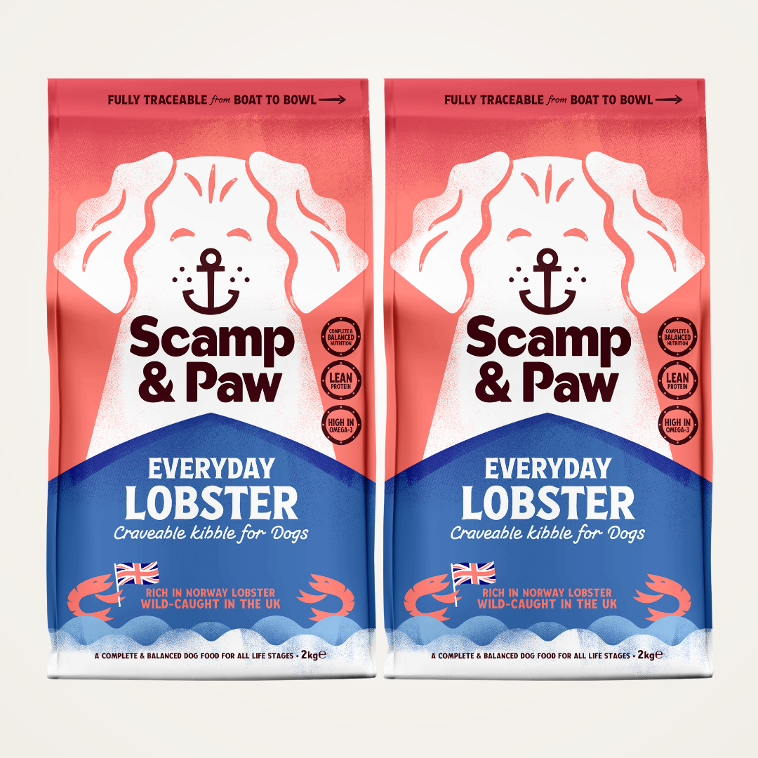 Discovery Bundle - Everyday Lobster Kibble for Dogs