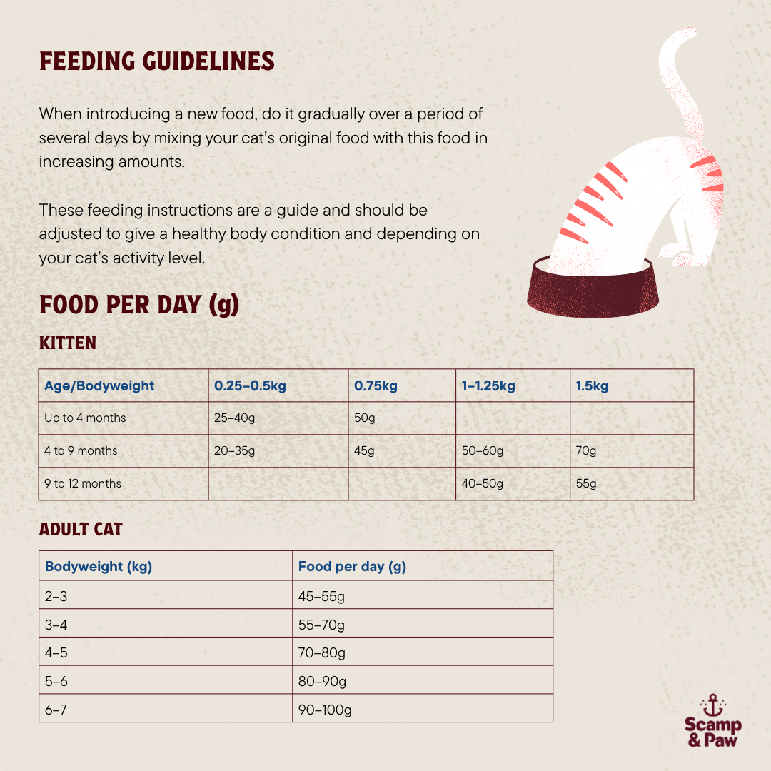 Everyday Lobster Kibble for Cats