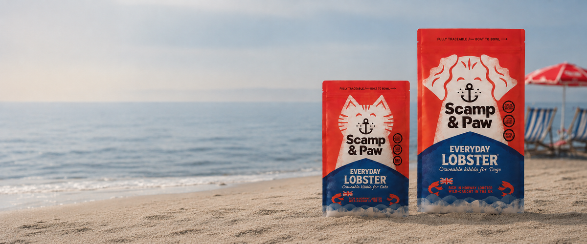 Two bags of Scamp & Paw dog treats standing upright on a sandy beach with the ocean in the background. The bags are red and blue with white graphics and text, including 'Scamp & Paw' and 'Everyday Lobster'.