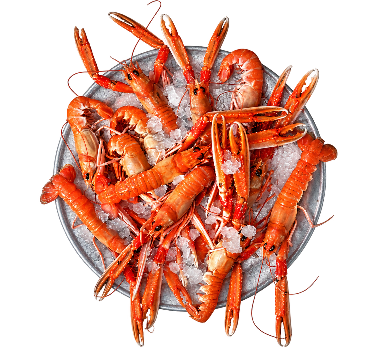 A top-down view of Norway Lobster arranged on a metal platter over crushed ice