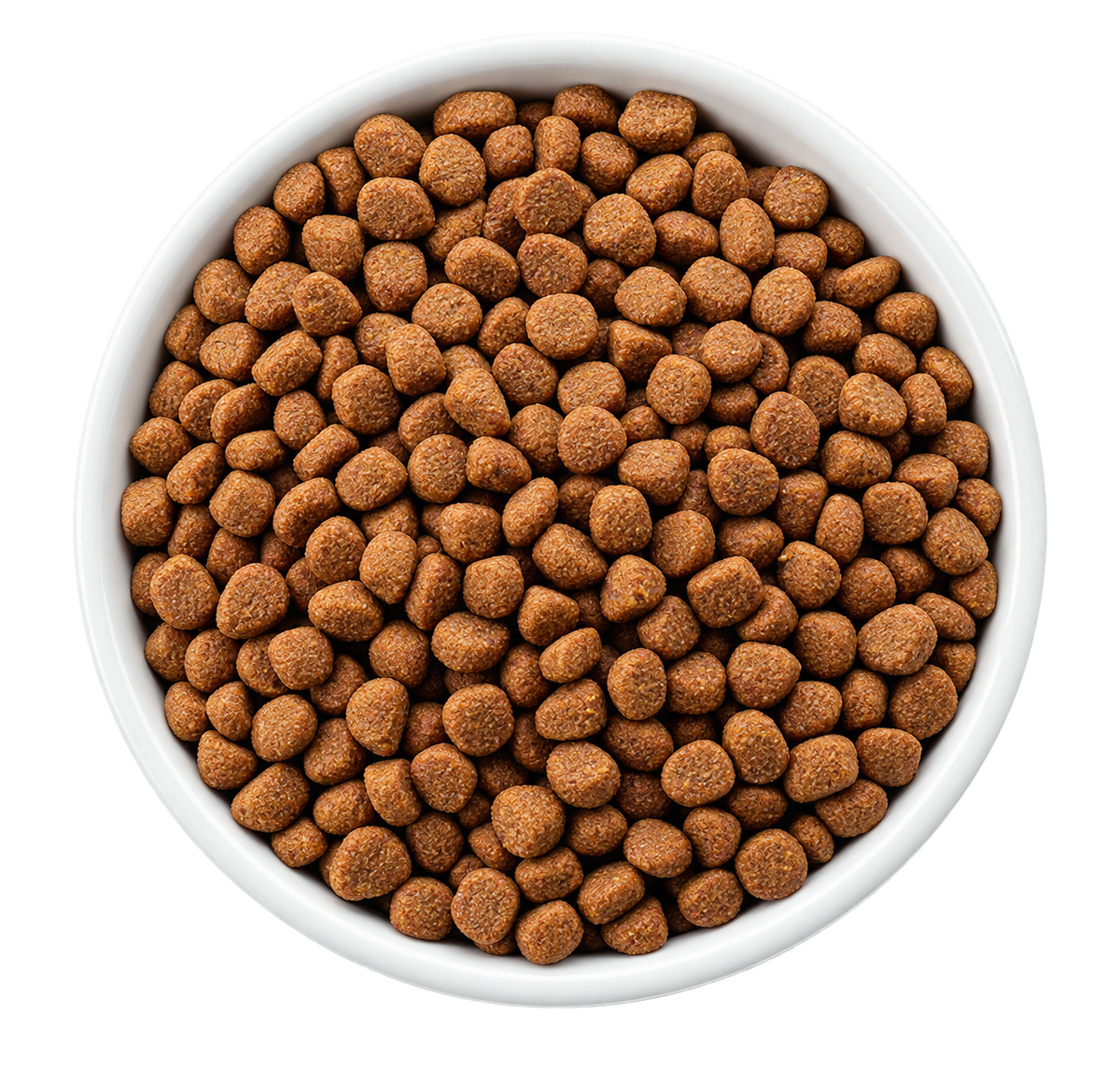 Scamp&Paw kibble filling a white round bowl