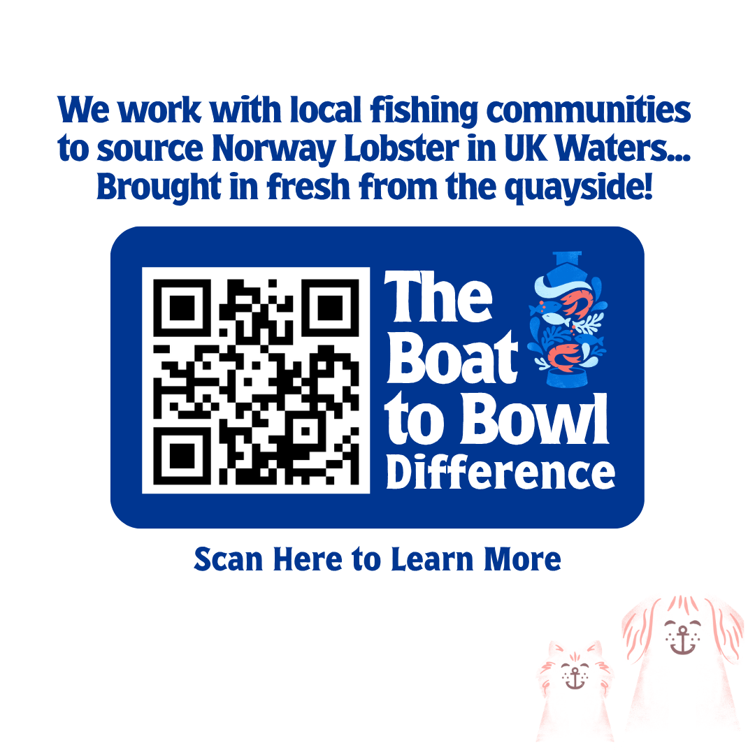 Everyday Lobster Nibbles