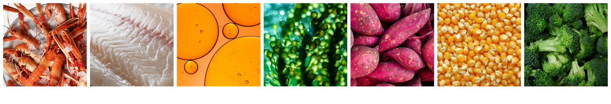 A horizontal strip of seven square food and ingredient photos on a white background: Norway Lobster, white fish, salmon oil, algae, sweet potatoes, corn and broccoli.