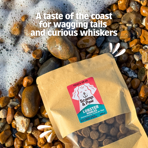 Lobster Nibbles for Cat - Free Shipping!