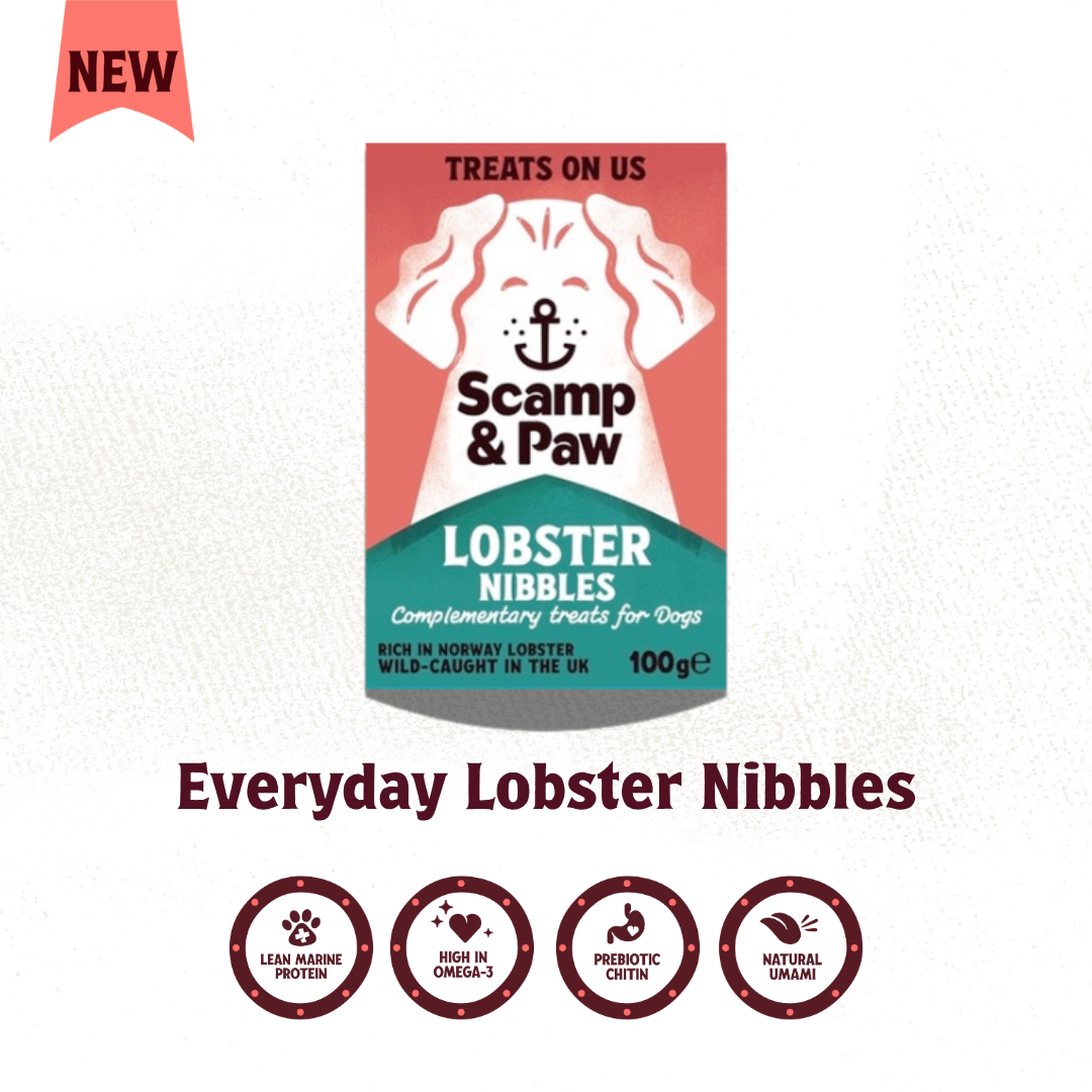Lobster Nibbles for Dog - Free Shipping!