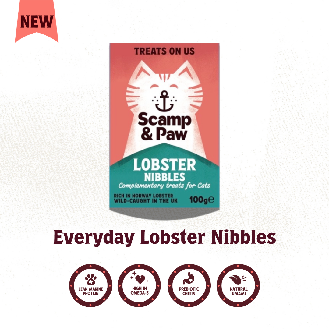 Lobster Nibbles for Cat - Free Shipping!